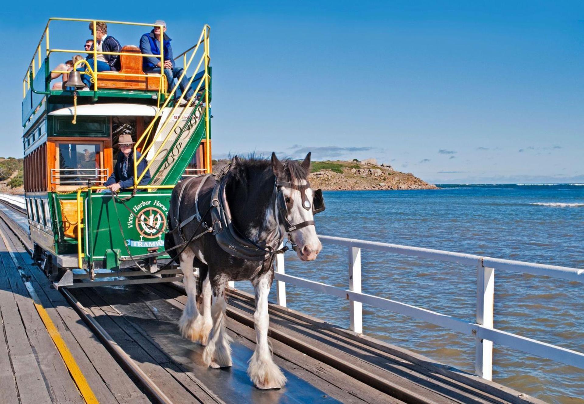 Victor Harbor Holiday Park Luaran gambar